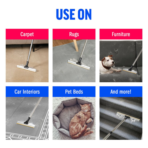 ChomChom Carpet Rake