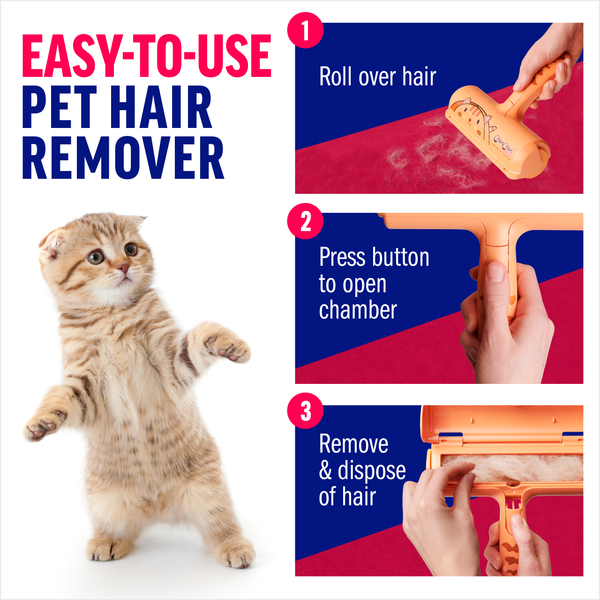 #LimitedCatEdition