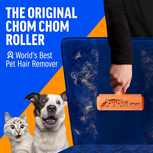 #LimitedCatEdition