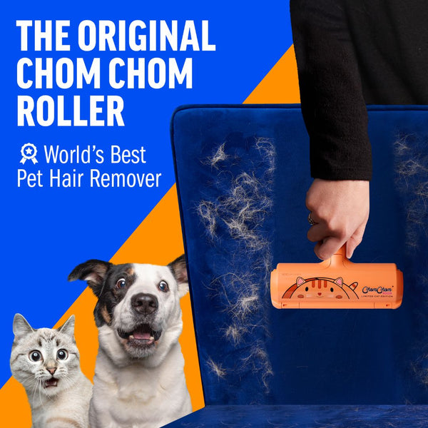 #LimitedCatEdition