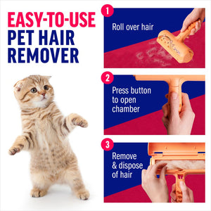 #LimitedCatEdition