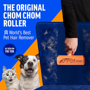 #LimitedCatEdition