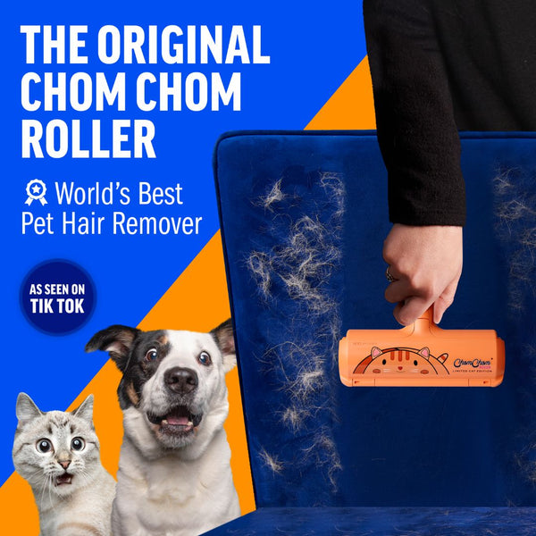 #LimitedCatEdition