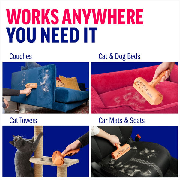 #LimitedCatEdition